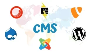 Top CMS Platforms For Your Website Development